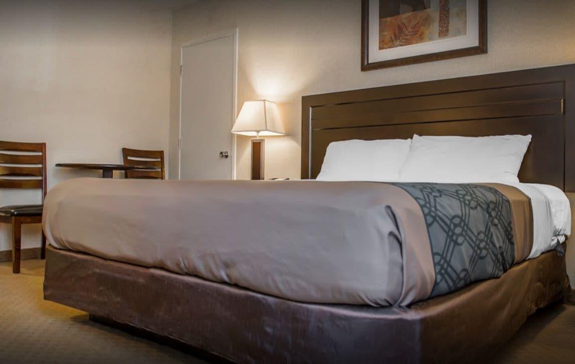 New Lodge Winnipeg Eksteriør bilde