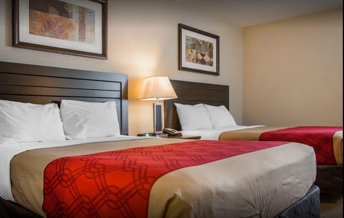 New Lodge Winnipeg Eksteriør bilde